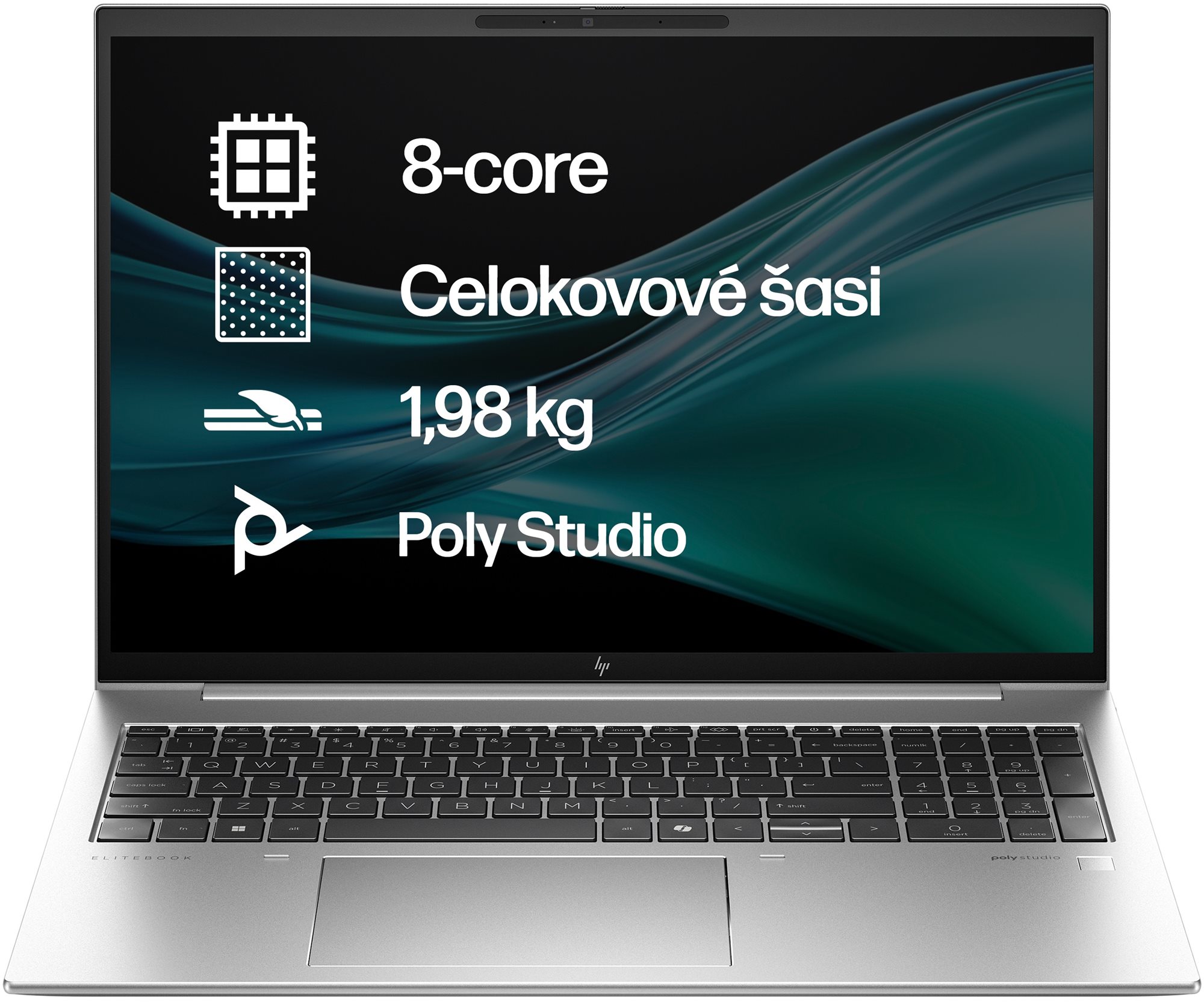 HP EliteBook 865 G11 Silver Notebook