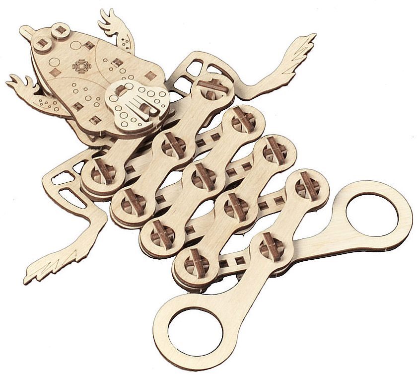 Mr. Playwood 3D Frog Building Set