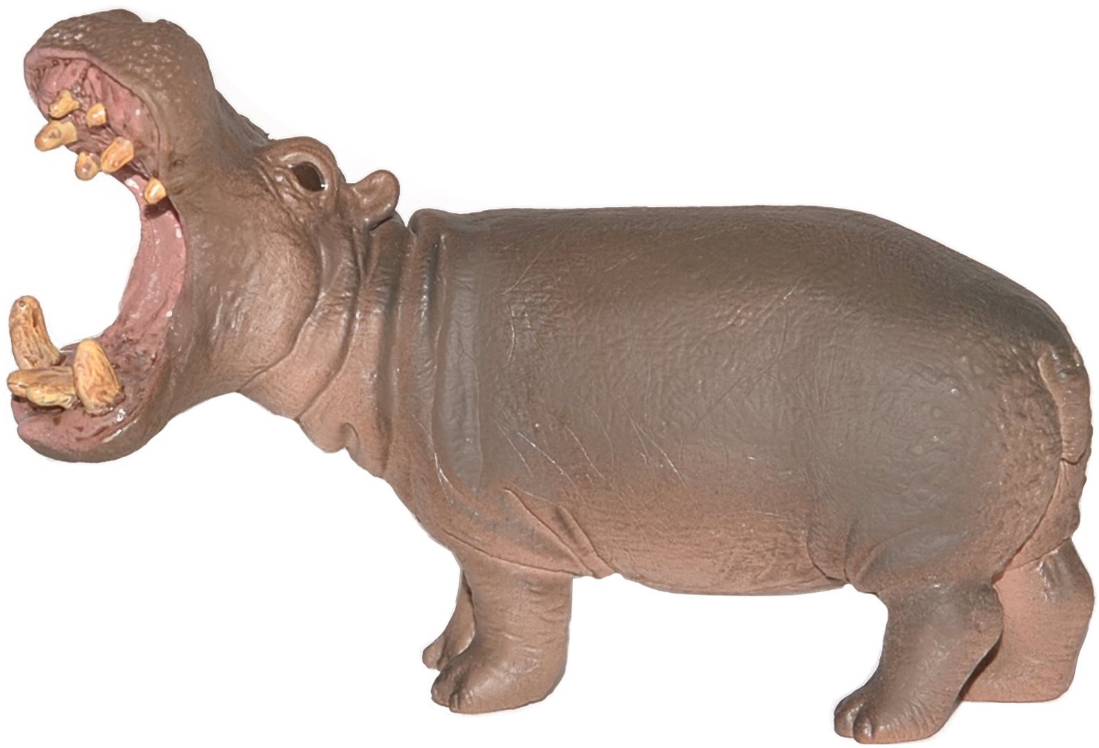 Atlas Hippopotamus Figure