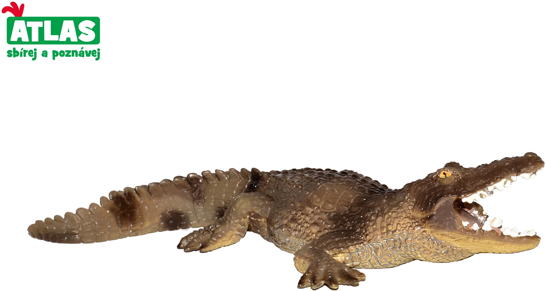 Atlas Crocodile Figure
