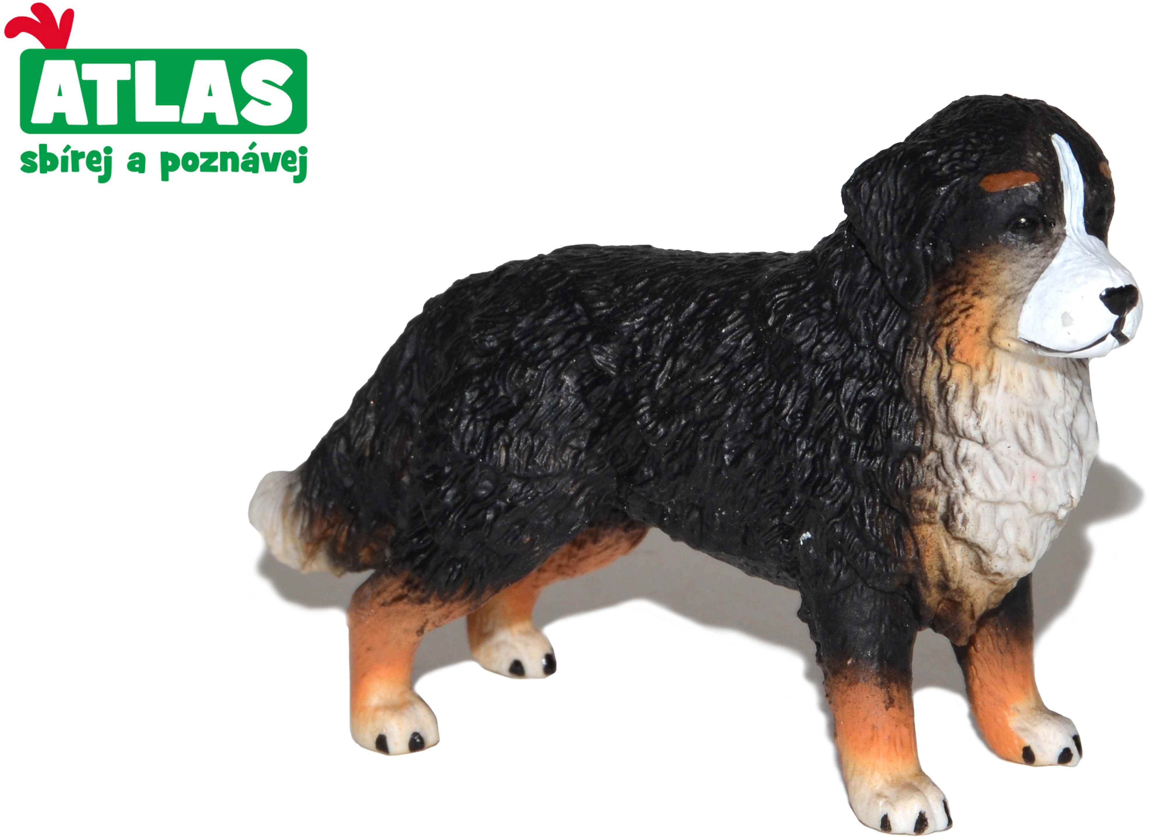 Atlas Bernese Mountain Dog Figure