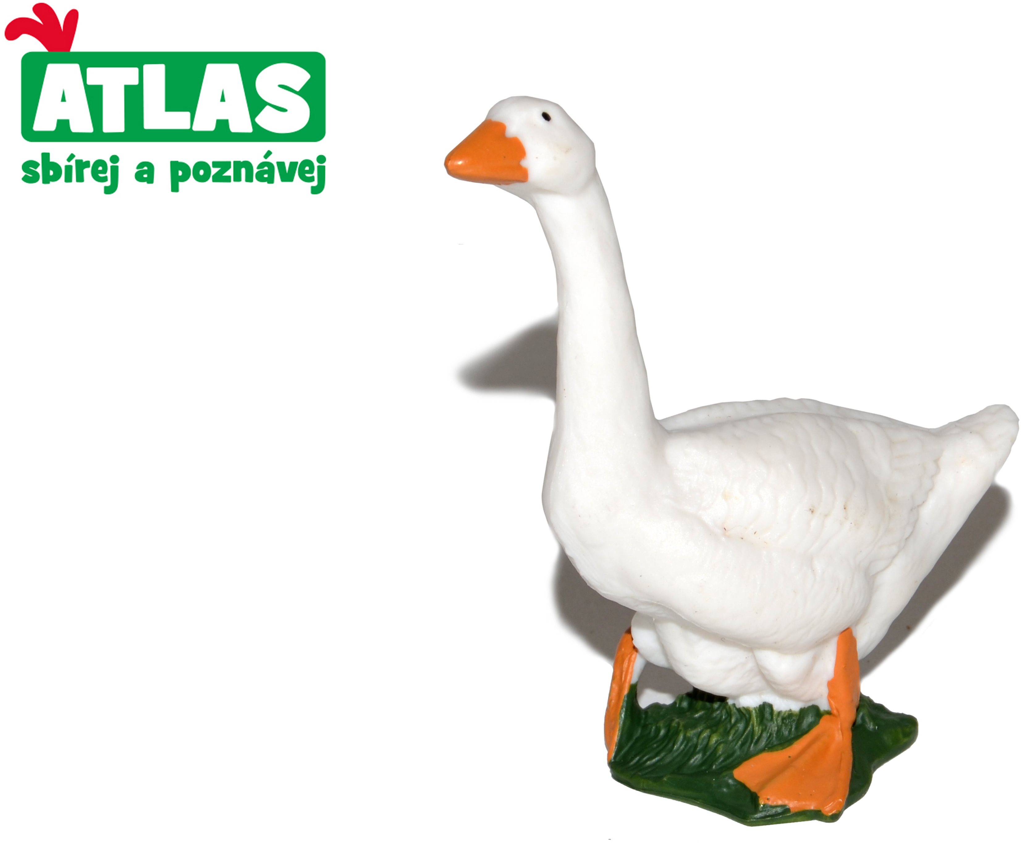 Atlas Hus Figúrka