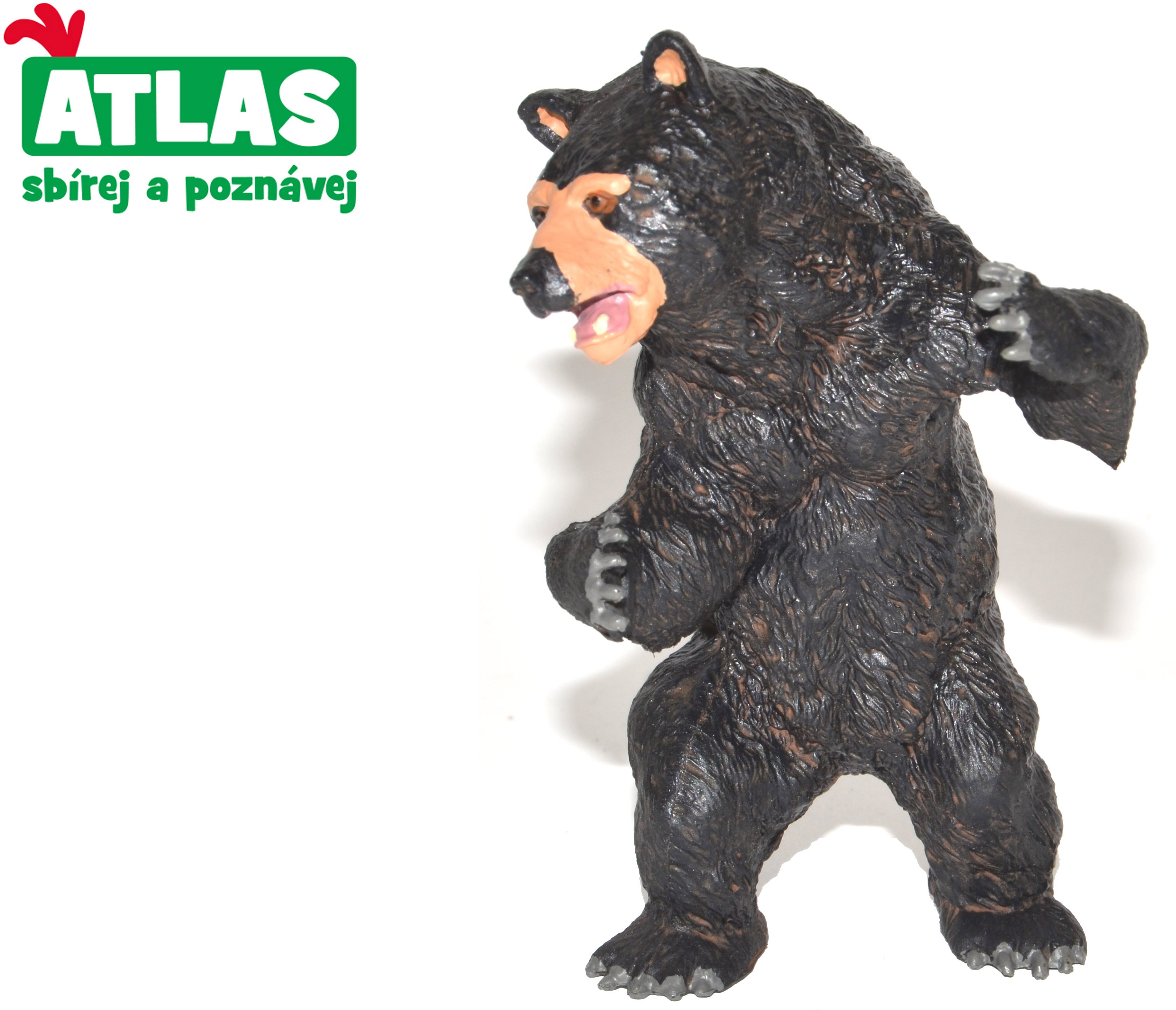 Atlas Black Bear Figure