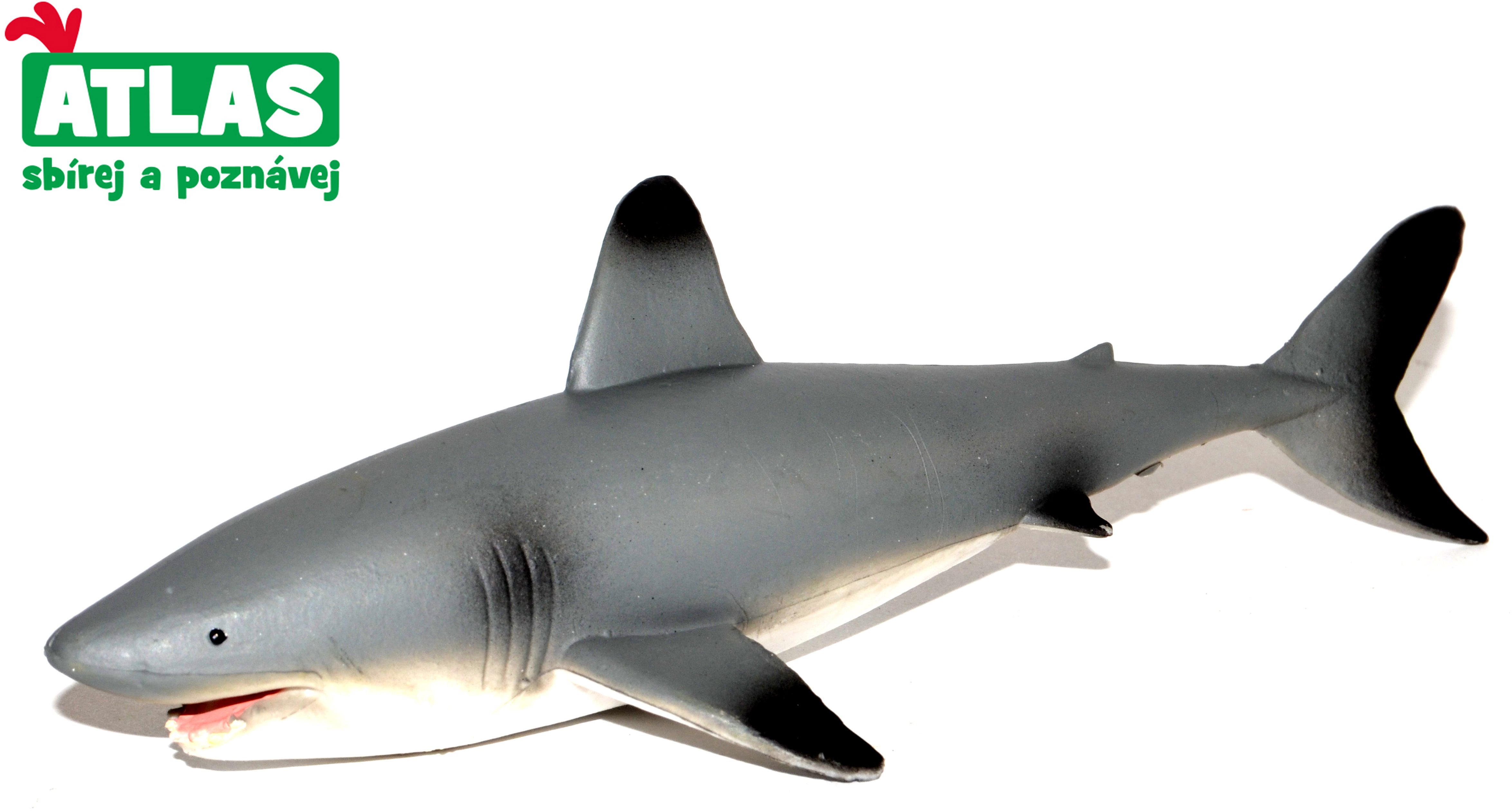 Atlas Shark Figure