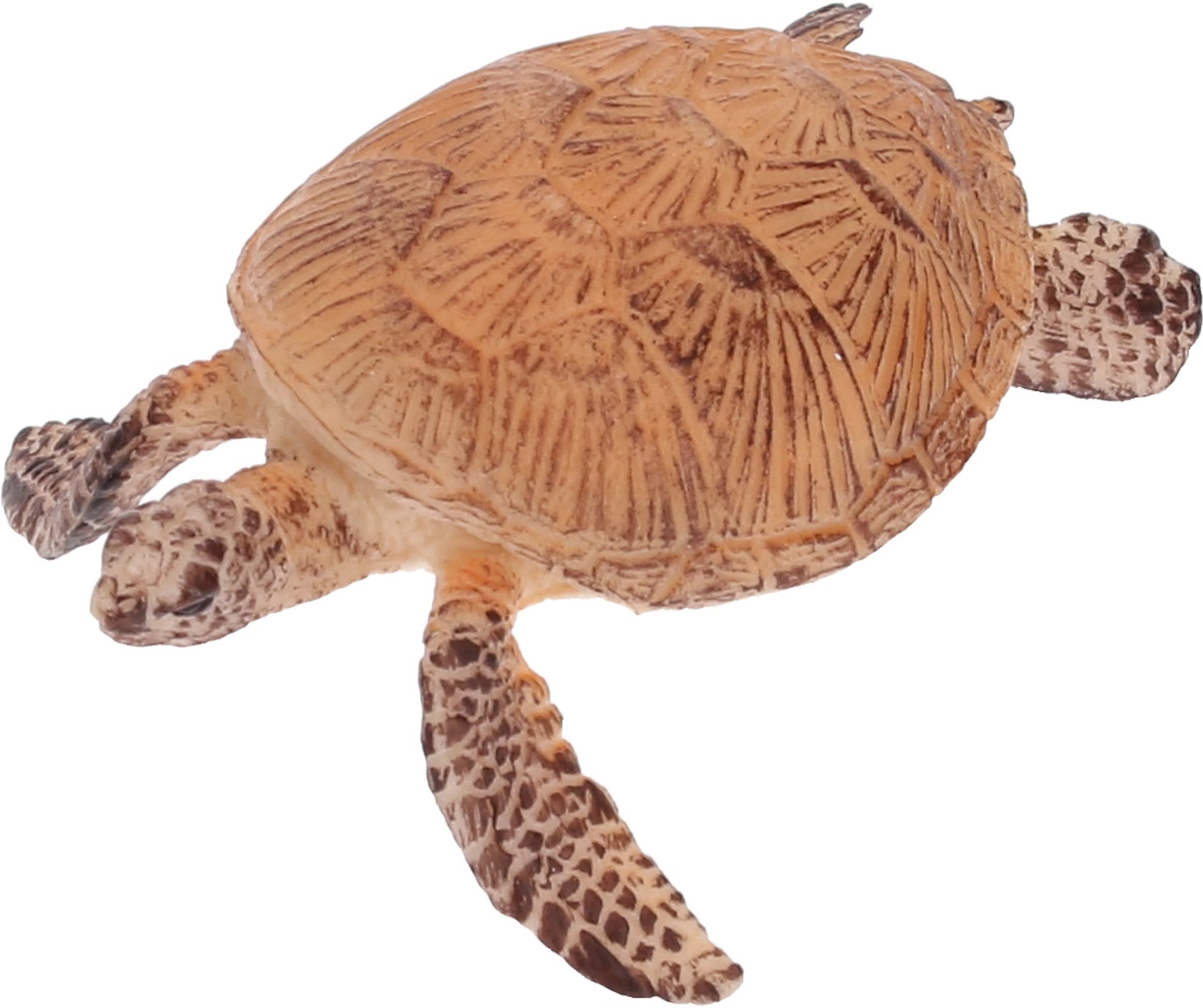 Atlas Turtle Figure