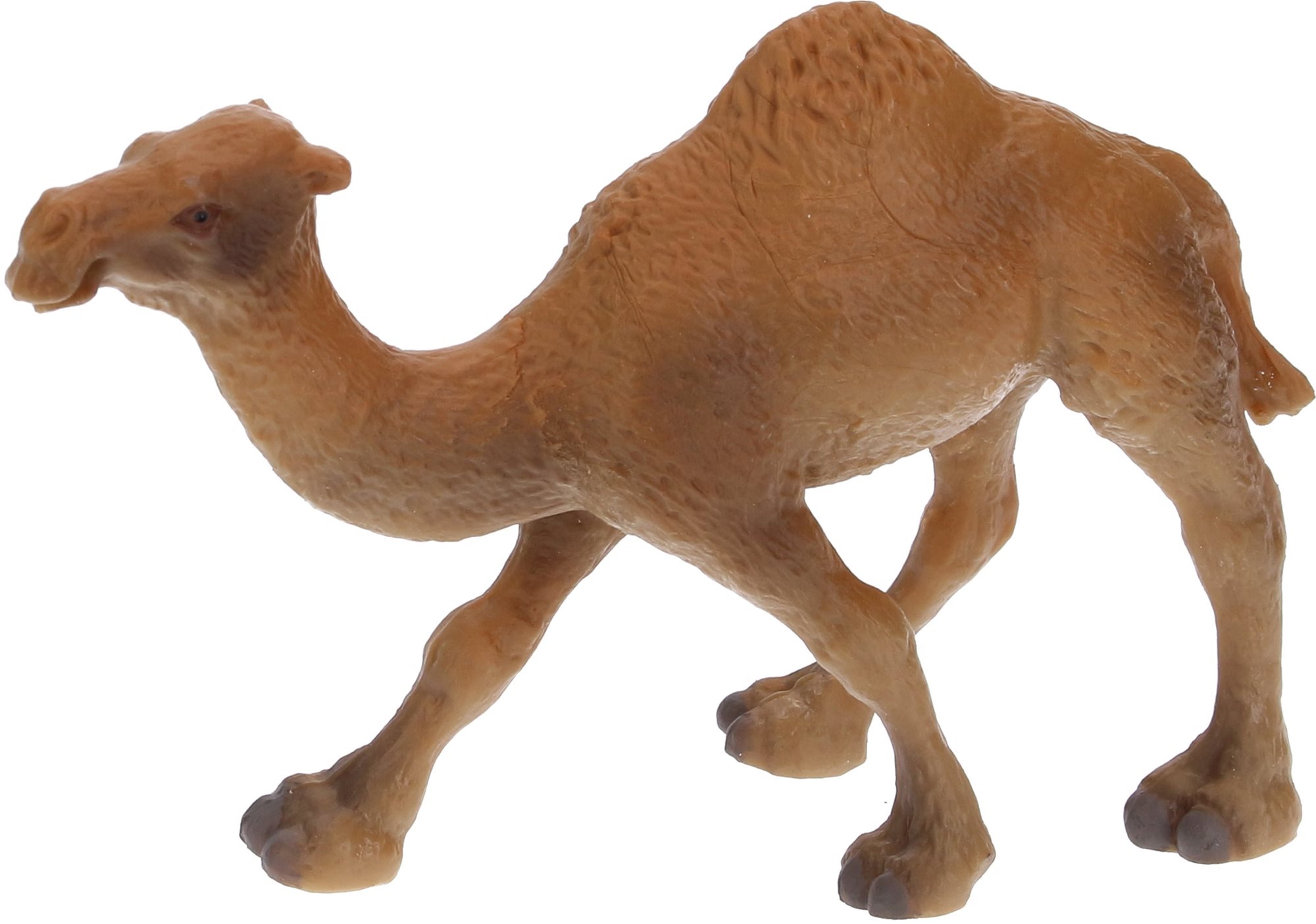 Atlas Camel Dromedary Figure