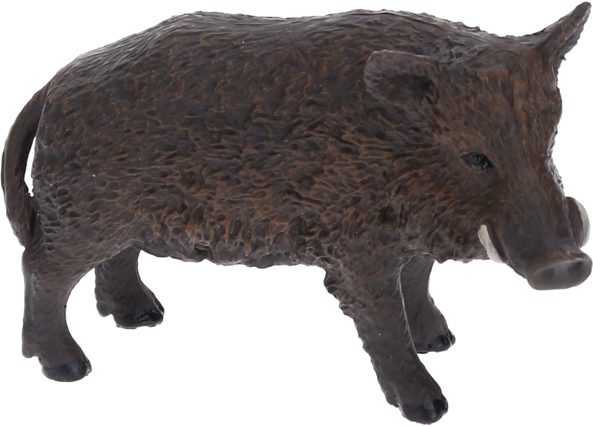 Atlas Wild Boar Figure