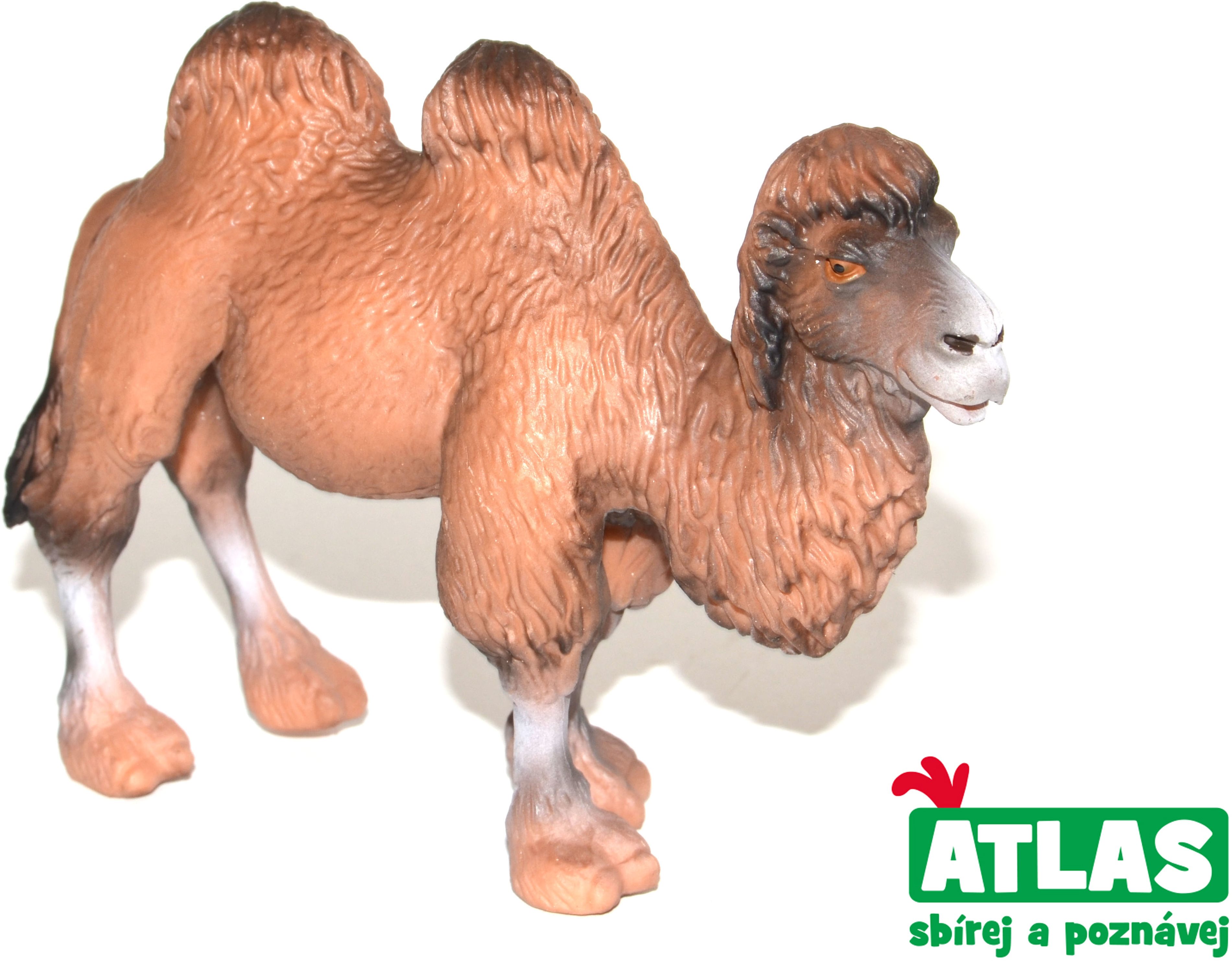 Atlas Camel Figure