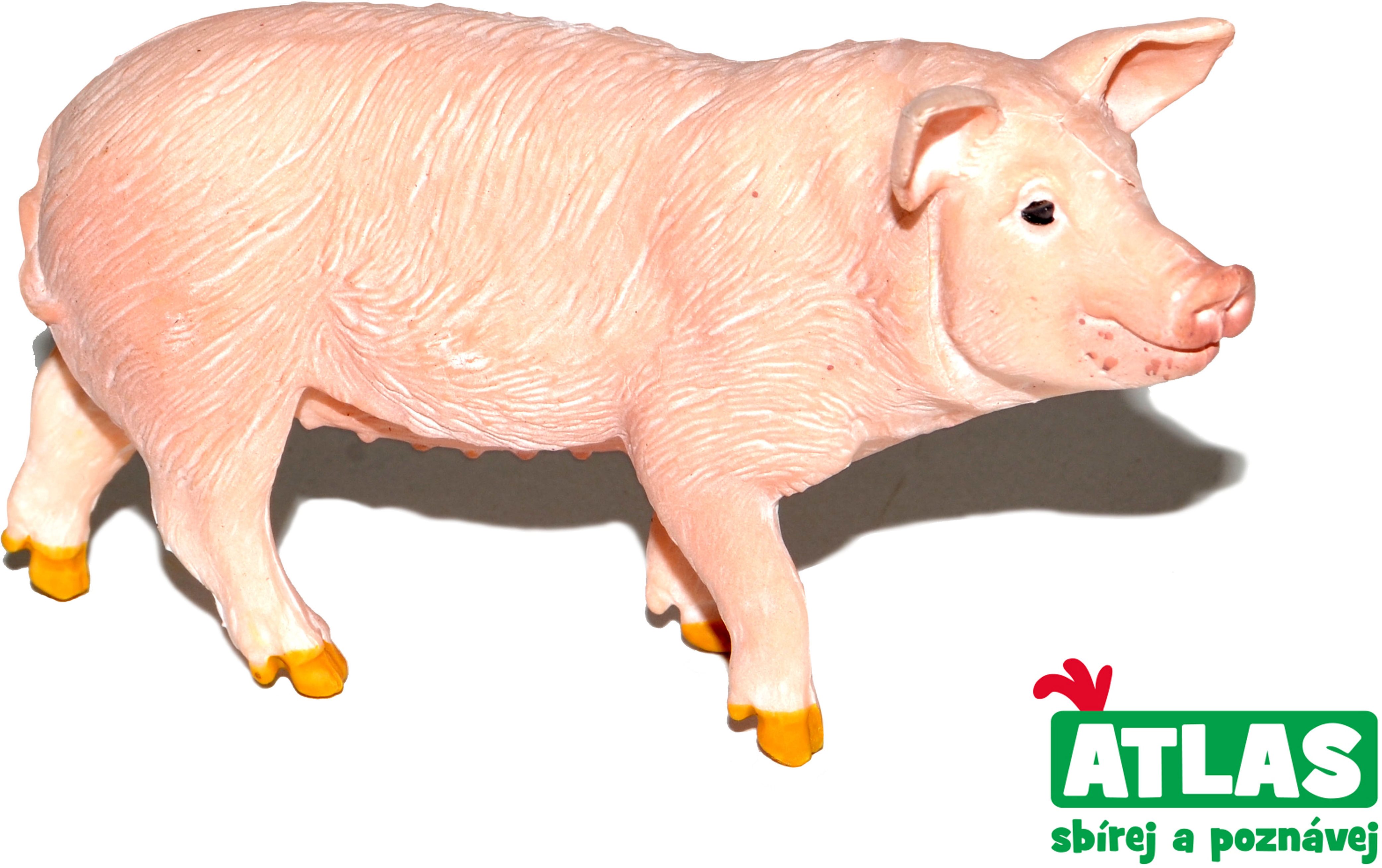Atlas Pig Figure