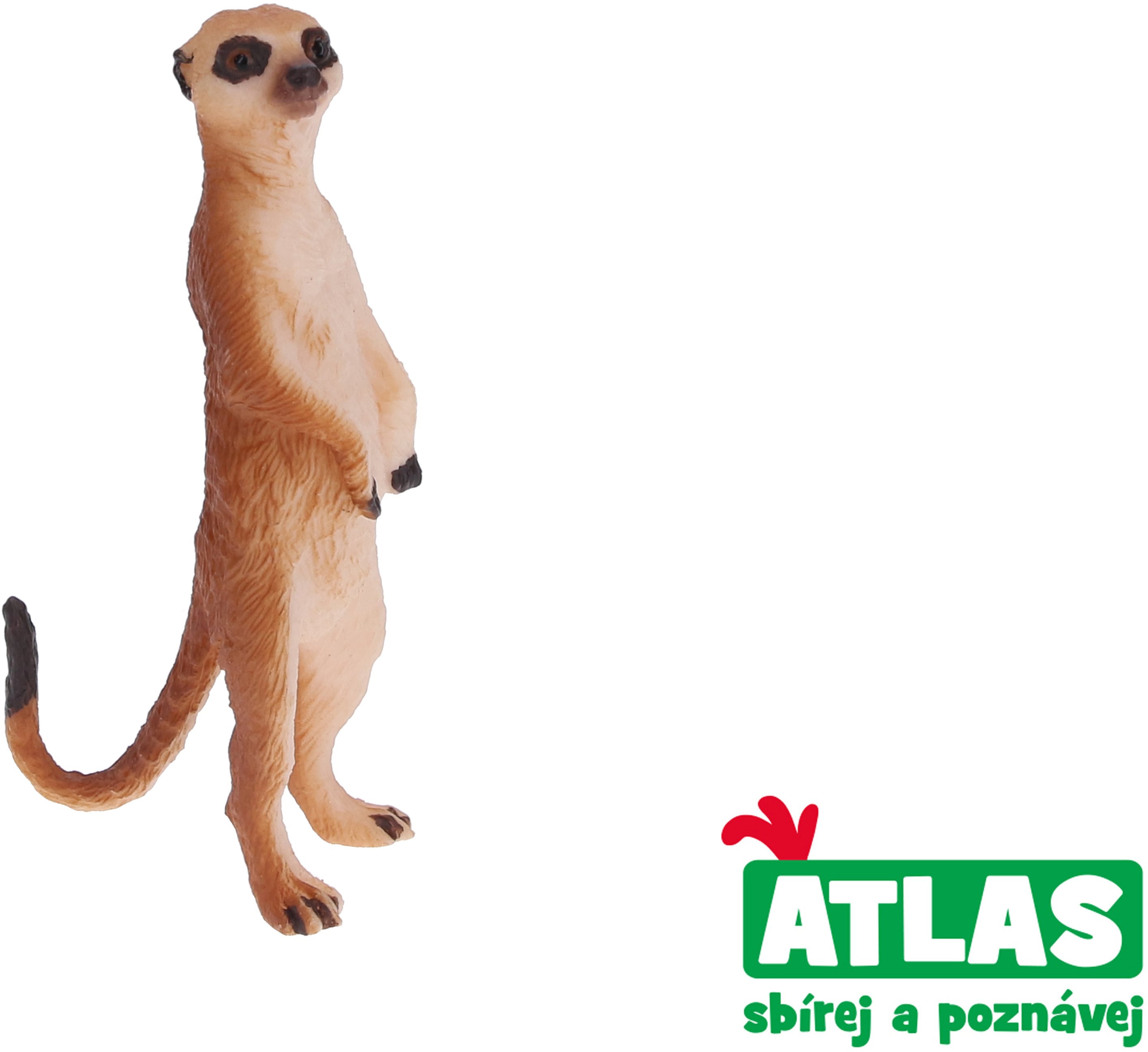 Atlas Meerkat Figure