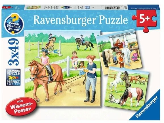 Ravensburger 051298 Horses 3x49 pieces Jigsaw