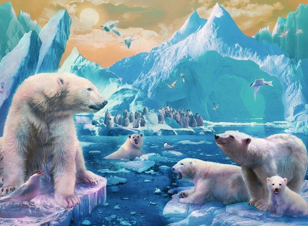Ravensburger 129478 Polar bears 300 pieces Jigsaw
