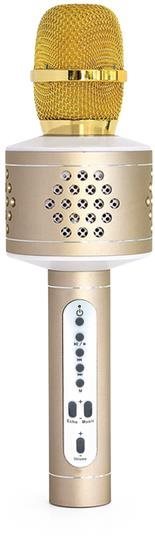 Teddies Karaoke-Mikrofon Bluetooth gold Mikrofon