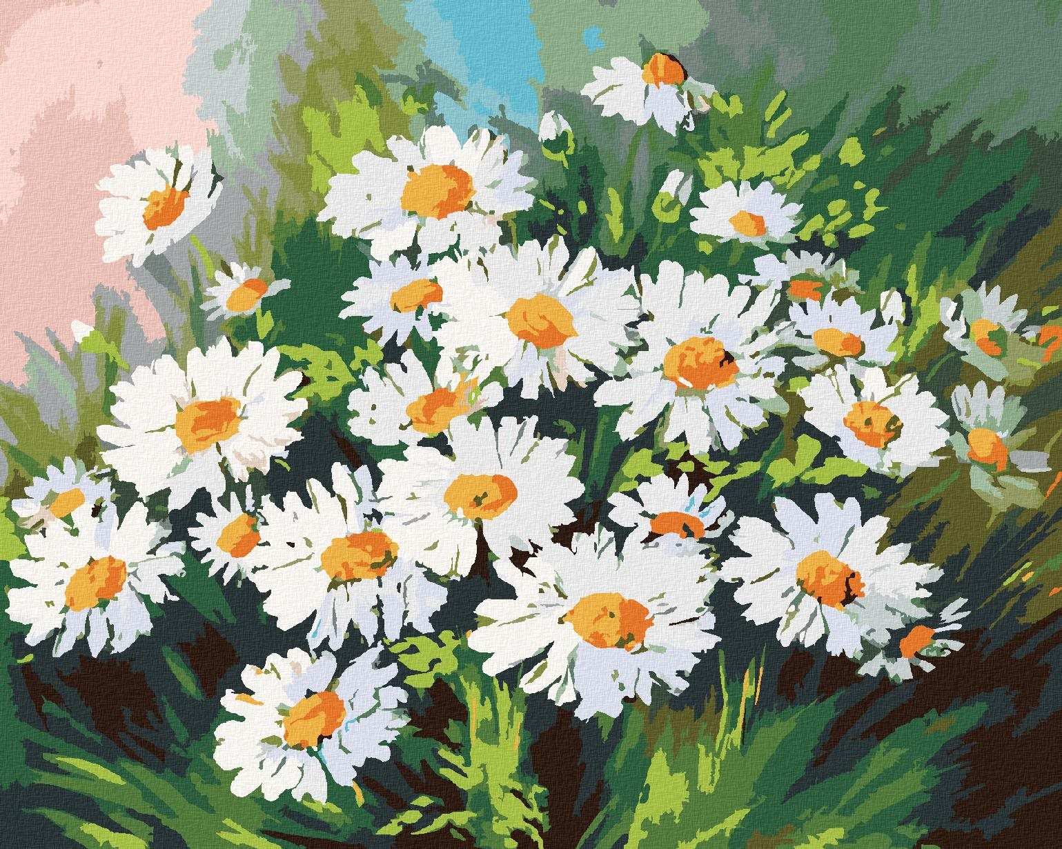 Malování podle čísel - Kopretiny v trávě, 40x50 cm, vypnuté plátno...