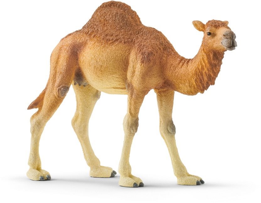 Schleich 14832 Dromedary Figure