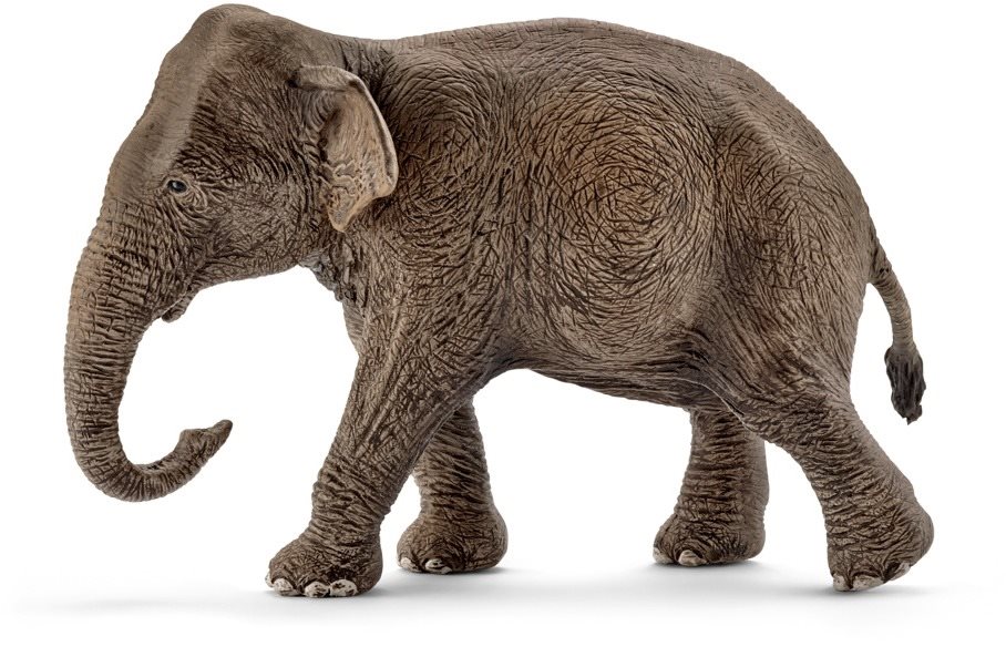 Schleich 14753 Asian Elephant, Female Figure