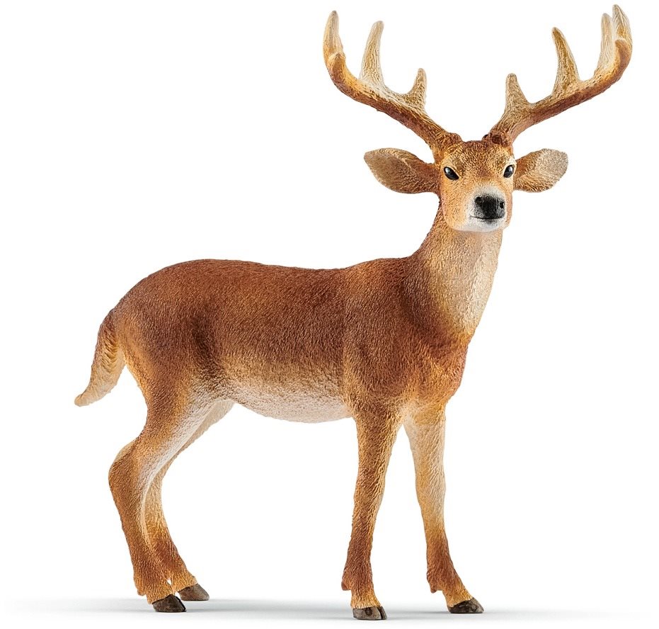 Schleich 14818 Fehérfarkú szarvas Figura