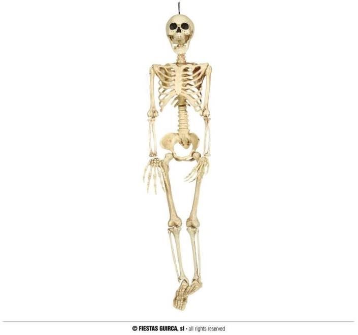 Skeleton – kostra – kostlivec na zavesenie 90 cm – Halloween Párty...