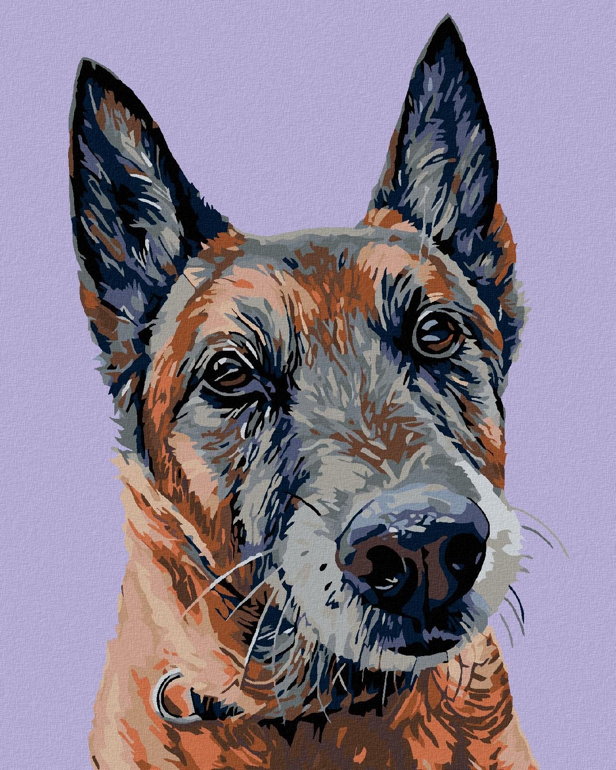 Maľovanie podľa čísel – Starý vlčiak, 40 × 50 cm, bez rámu a bez...