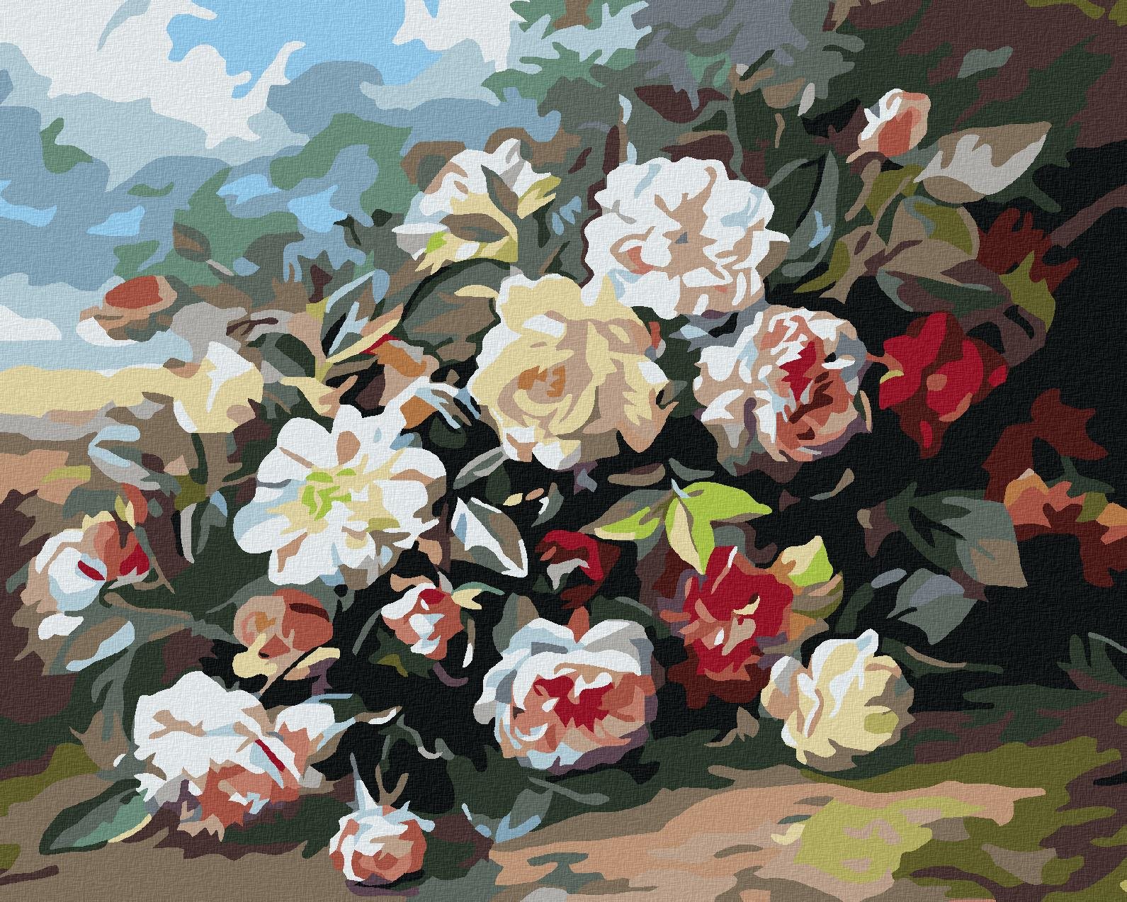 Diamondi – DIVÉ RUŽE, 40 × 50 cm, plátno napnuté na rám Diamantové...