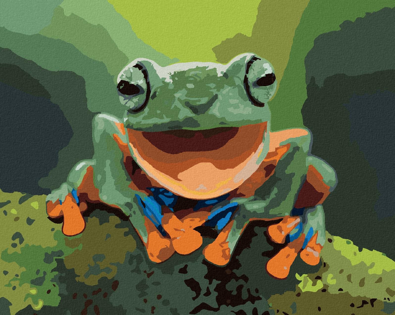 Diamondi – Diamantové maľovanie – SMEJÚCA SA ŽABA, 40 × 50 cm, bez...