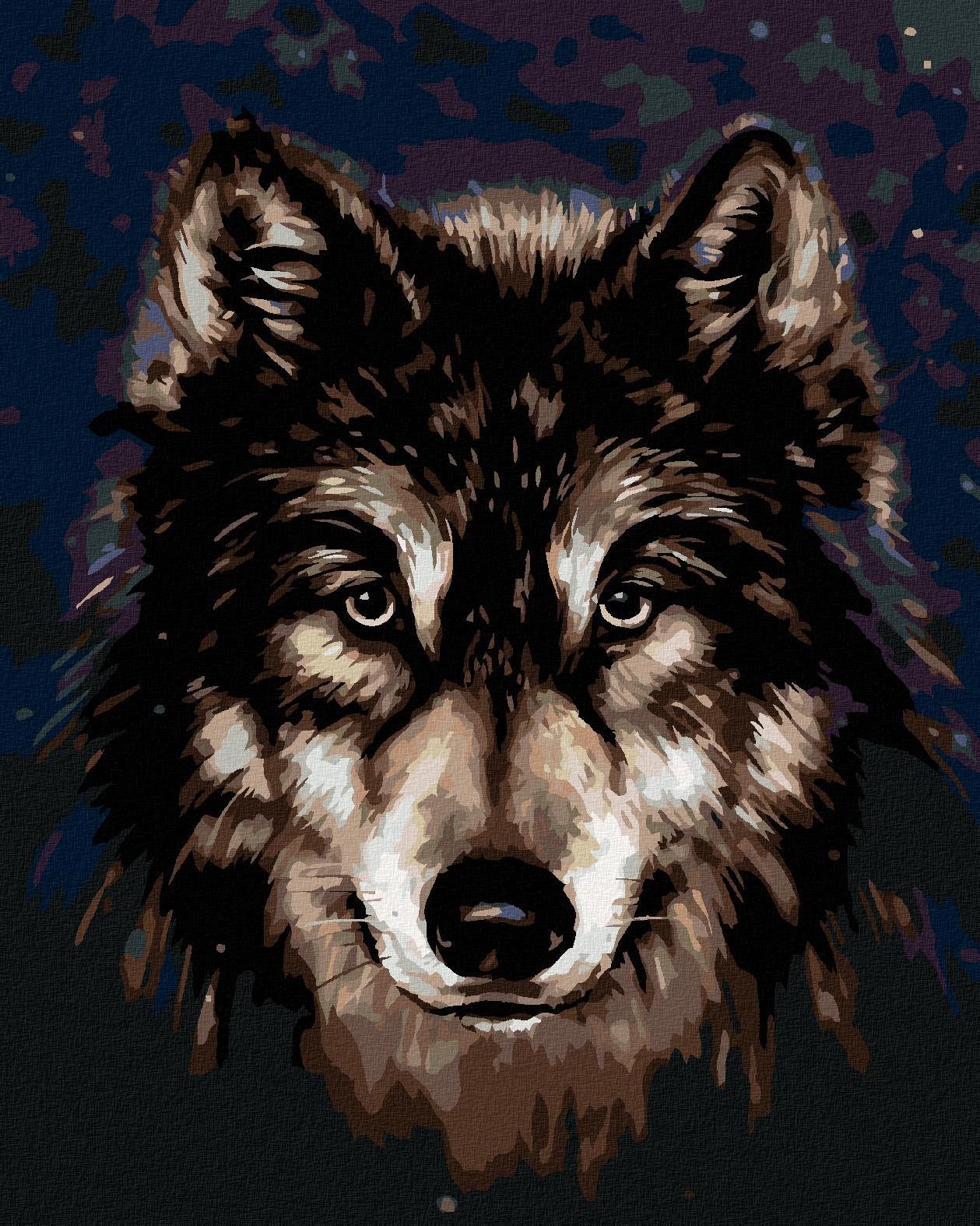 Hlava huskyho na tmavom pozadí, 40 × 50 cm, plátno napnuté na rám...