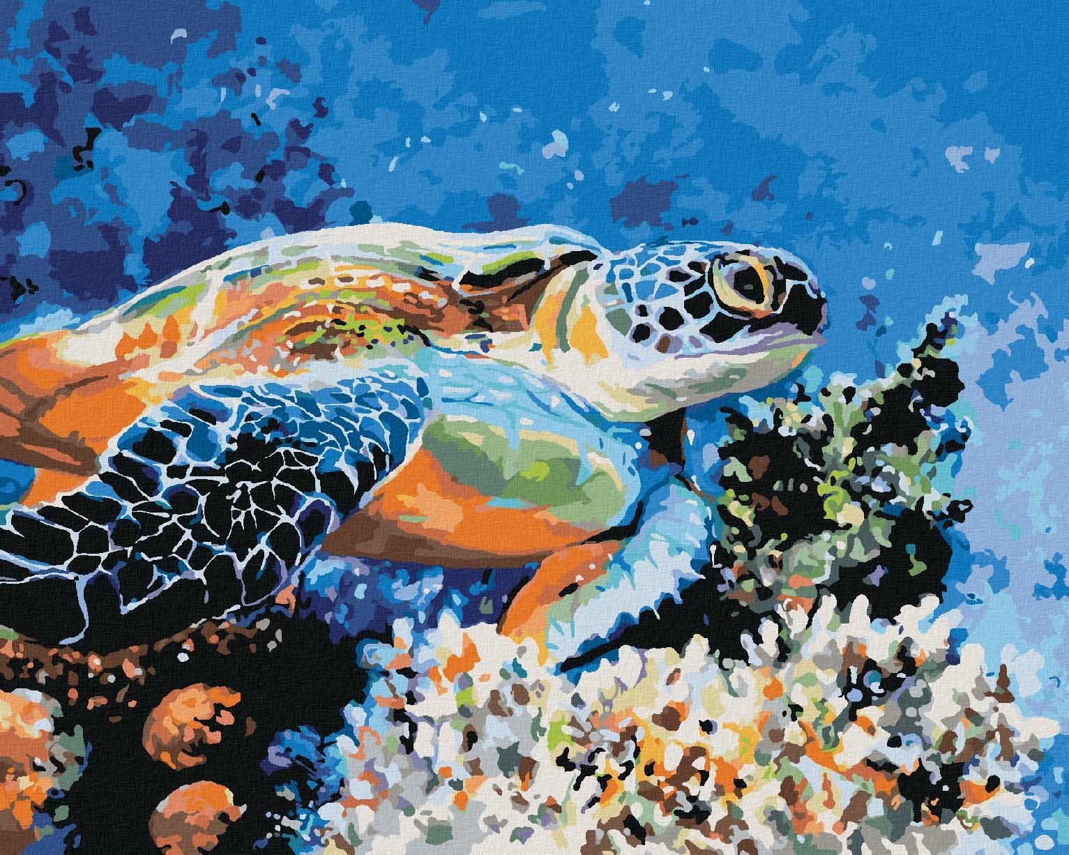 Morská korytnačka, 80 × 100 cm, bez rámu a bez napnutia plátna...