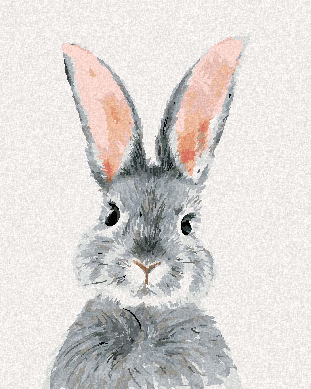 Sivý králik, 40 × 50 cm, plátno napnuté na rám Maľovanie podľa čísel