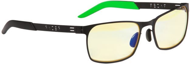 GUNNAR Gaming Collection FPS designed by Razer, onyx/ amber Monitor...