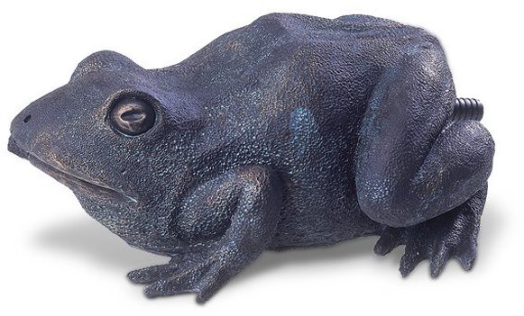 Pontec Water Spout Frog Záhradná dekorácia