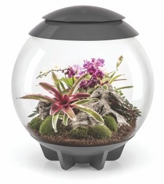 OASE biOrb AIR 60, sivé Akvárium
