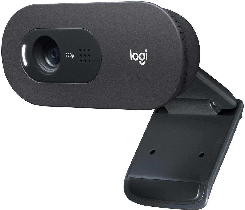 Logitech HD Webcam C505 Webcam