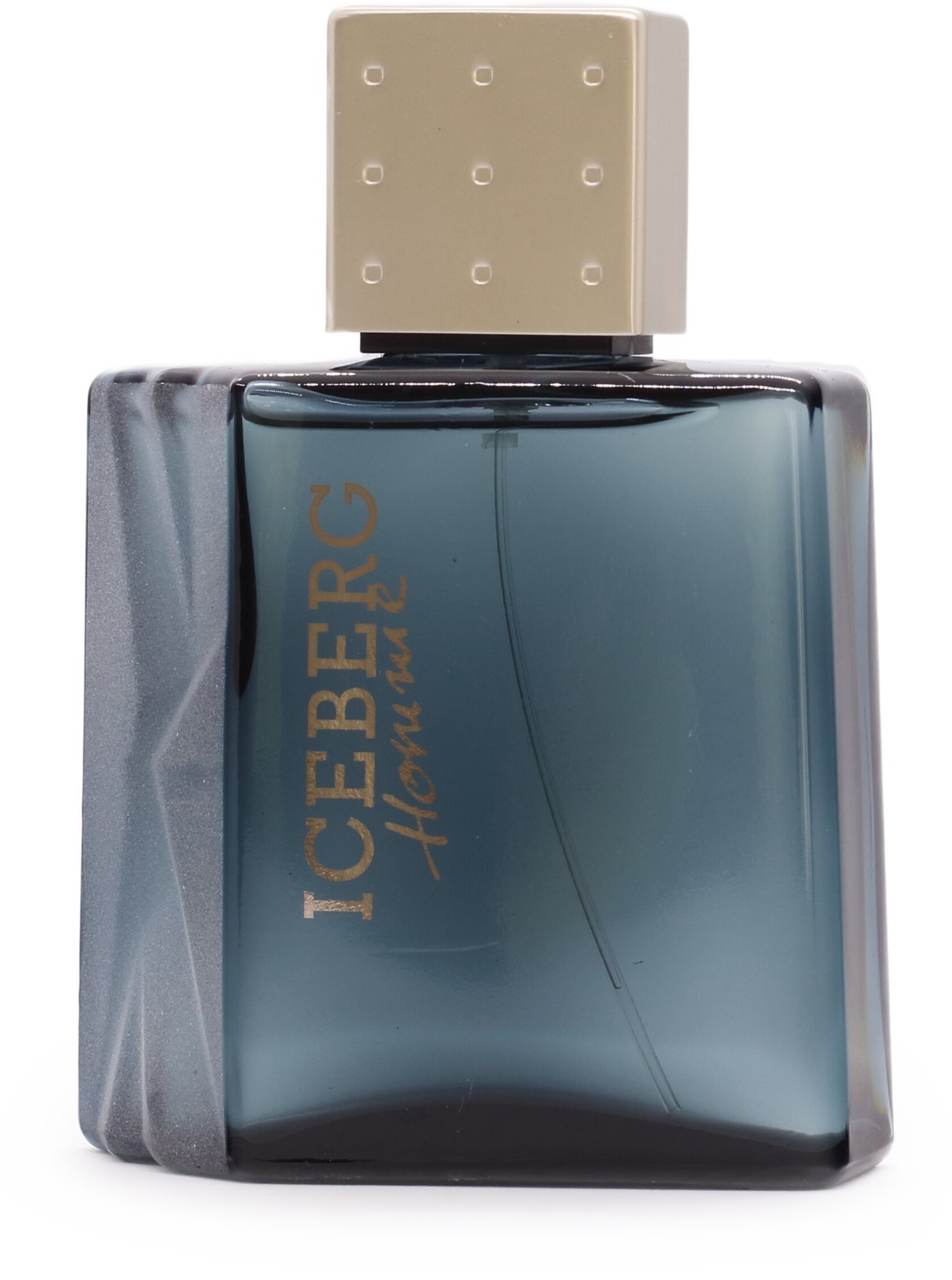 ICEBERG Iceberg Homme EdT 100 ml Toaletná voda