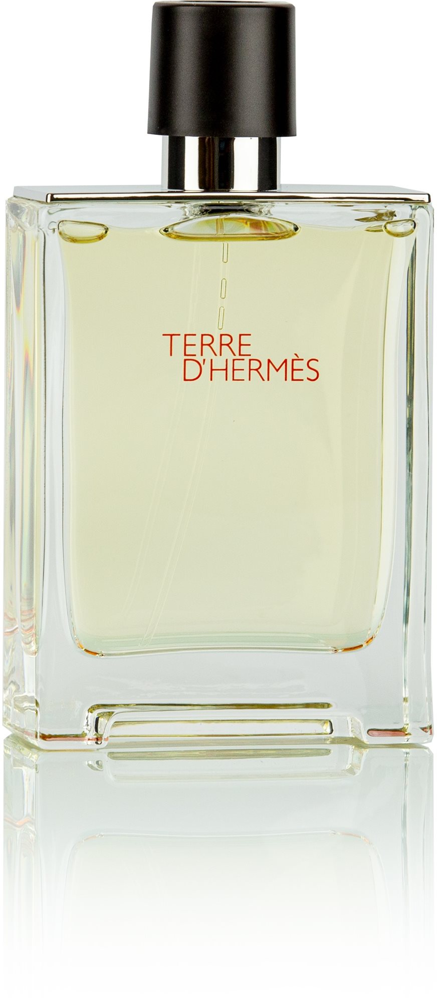 HERMES Terre d' Hermés EdT 100 ml Eau de Toilette