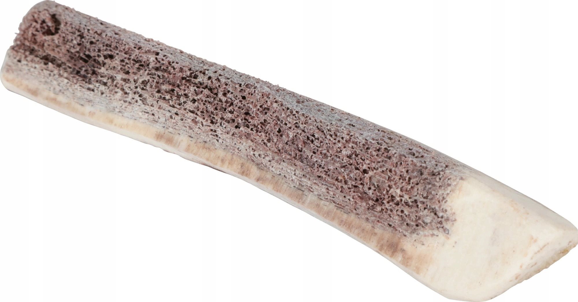 Zolux Jelenie parohy pre šteňatá 14 – 16 cm Parohy pre psov
