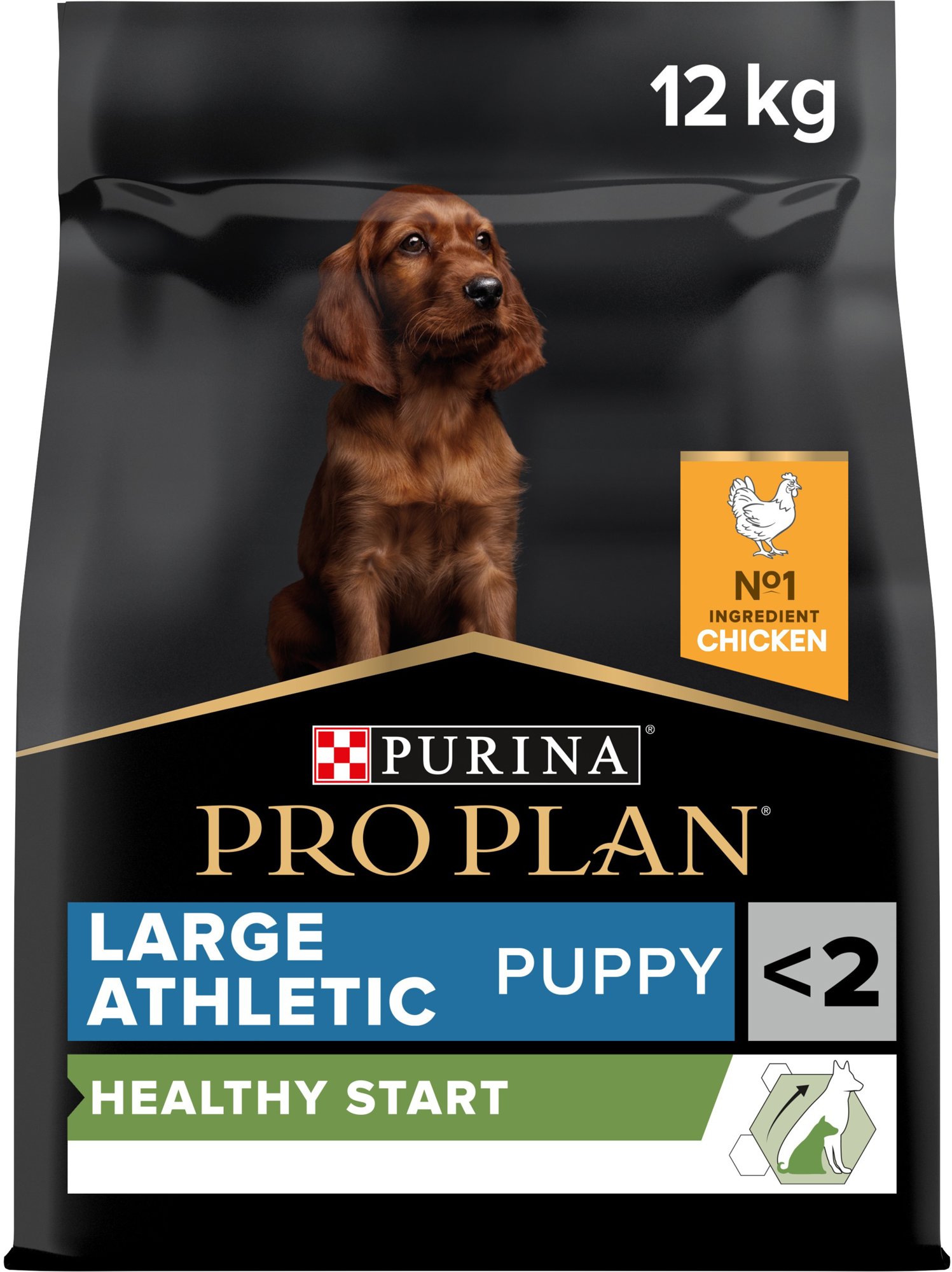 Pro Plan large puppy athletic healthy start kura 12 kg Granule pre...