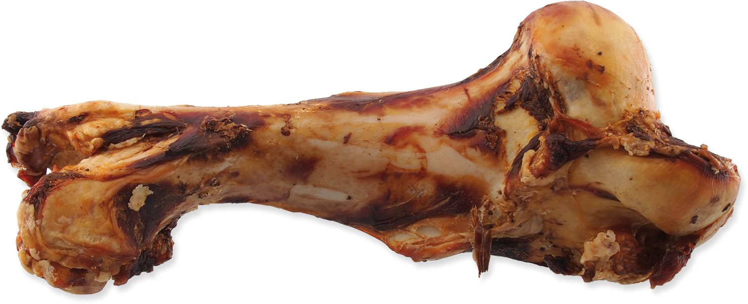 RASCO Kosť Rasco zaúdená veľkosť M Kosť pre psa