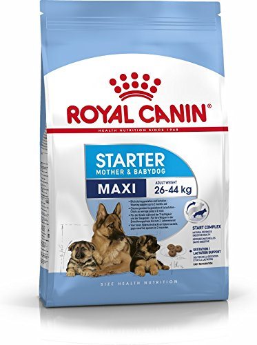 Royal Canin Maxi Starter Mother & Babydog 4 kg Granule pre šteniatka