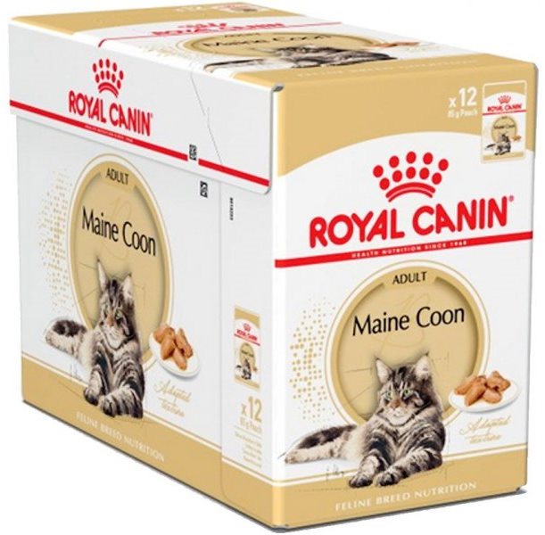 Royal Canin Maine Coon 12× 85 g Kapsička pre mačky