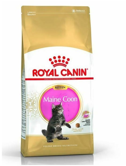 Royal Canin Maine Coon Kitten 2 kg Granule pre mačiatka