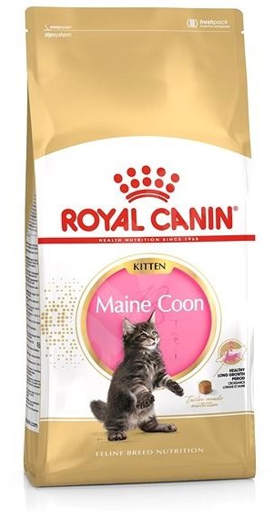 Royal Canin Maine Coon Kitten 10 kg Granule pre mačiatka