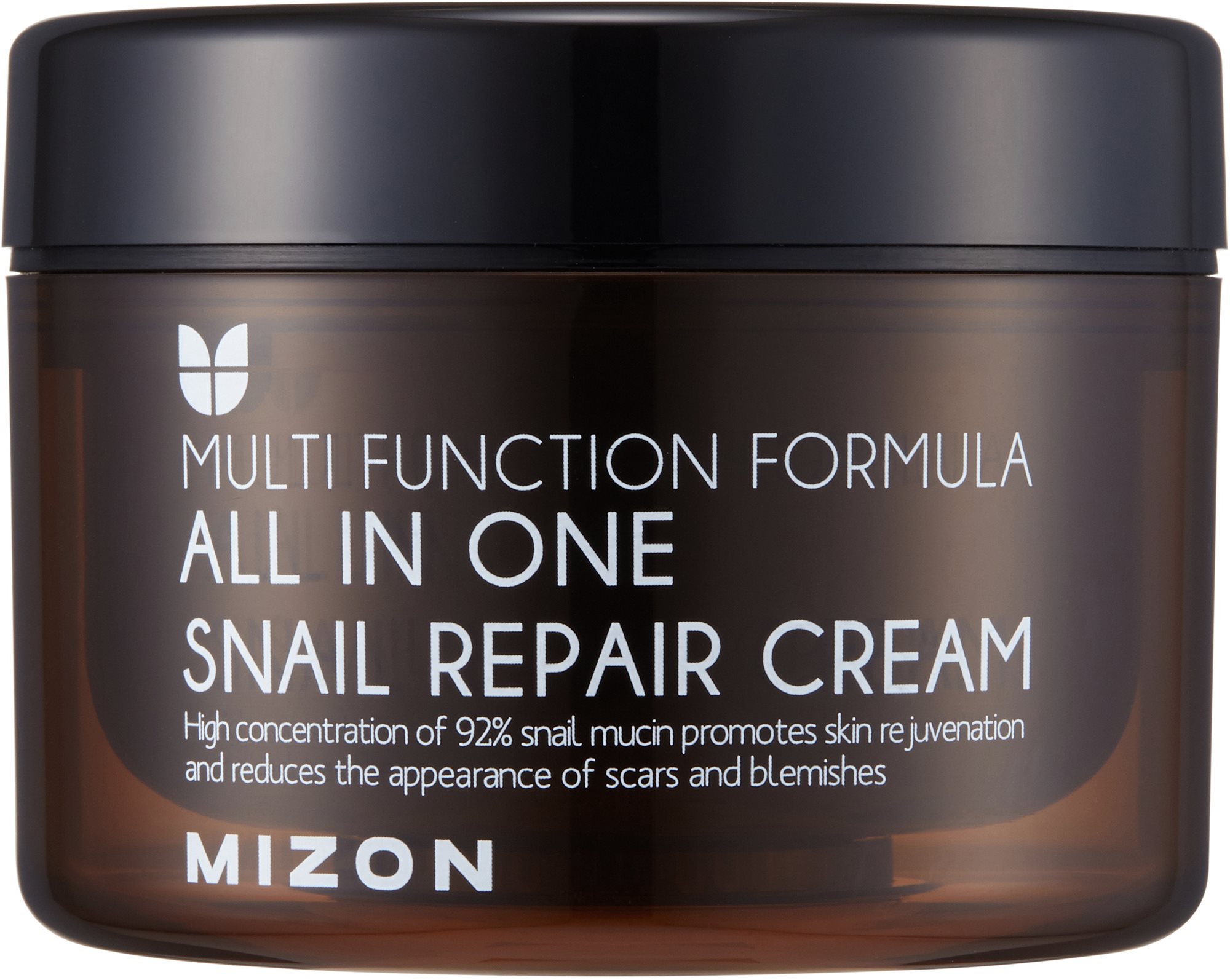 MIZON All In One Snail Repair Cream 120 ml Krém na tvár