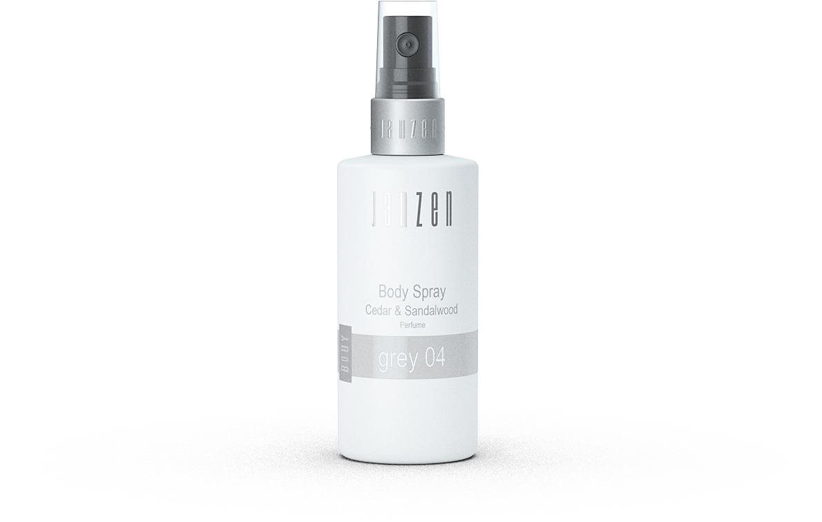 JANZEN Grey 100ml Testpermet