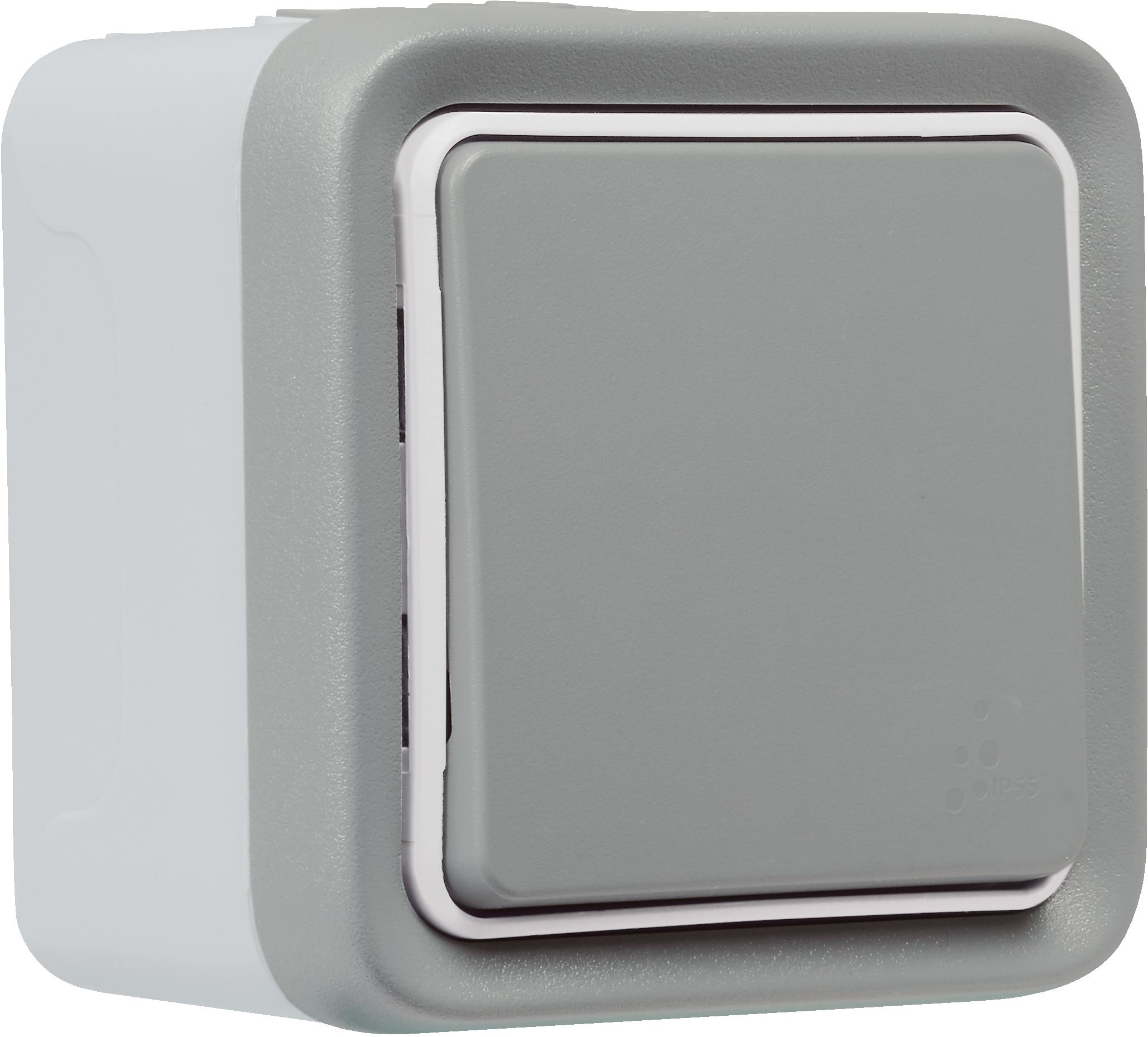 Legrand Plexo avec interrupteur sans fil Netatmo IP55 Gris...