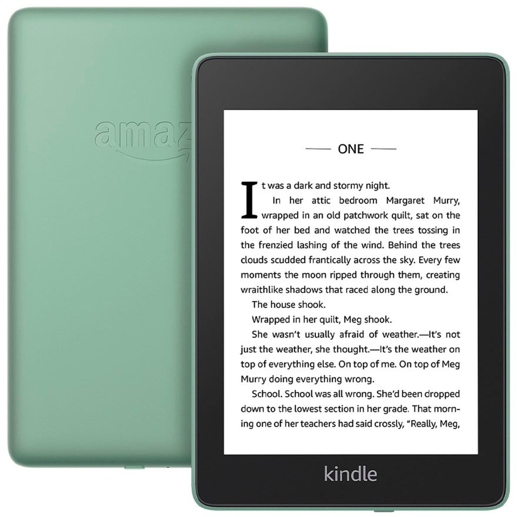Amazon Kindle Paperwhite 4 2018 (8GB) Sage (vert) Liseuse