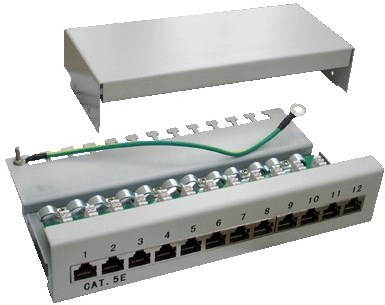 Datacom CAT5E 12 portov Patch panel
