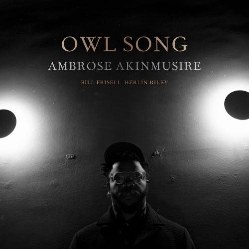 Akinmusire Ambrose: Owl Song (feat. Bill Frisell & Herlin Riley) LP...