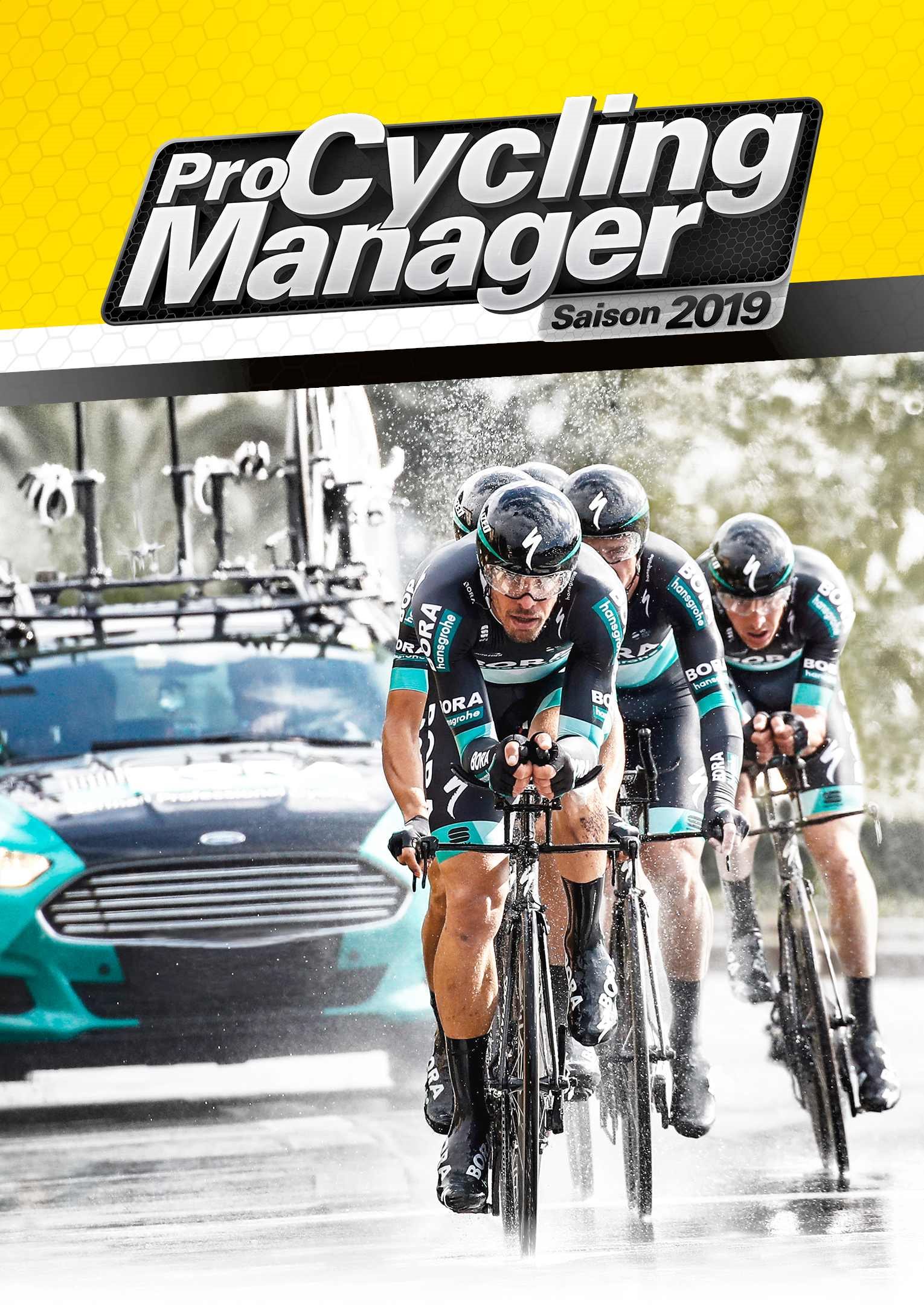 Pro Cycling Manager 2019 (PC) Steam DIGITAL PC-Spiel