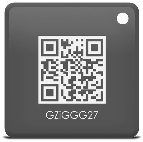 iGET SECURITY M3P22 - RFID Key für iGET SECURITY M3 und M4 NFC-Tag