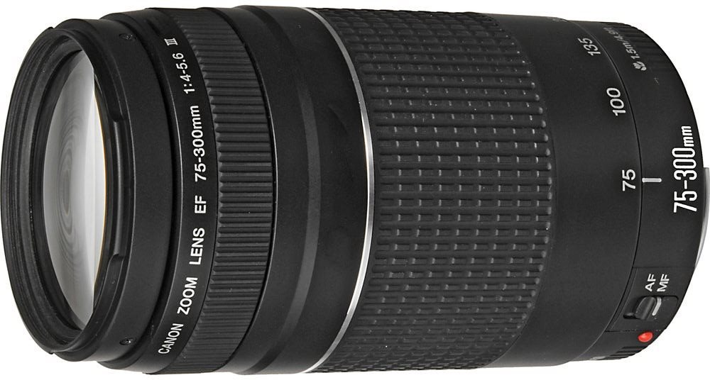 Canon EF 75-300mm f/4.0 - 5.6 III Zoom Objectif